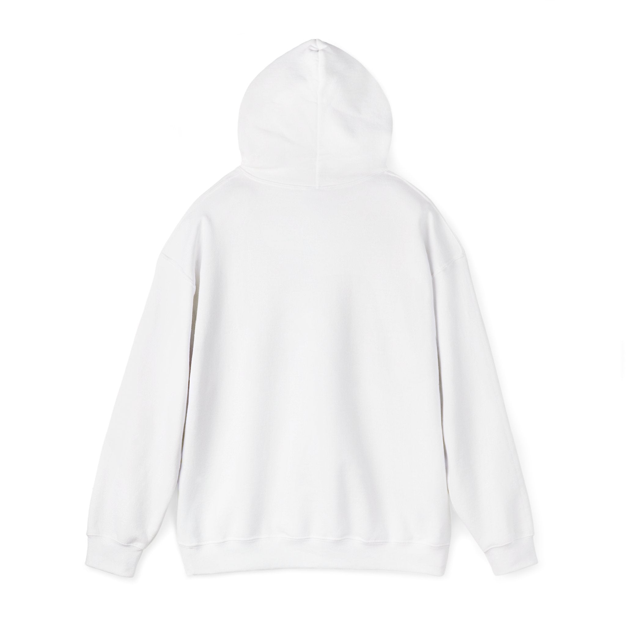 Cat & Dog Debate Hoodie — 'I cleaned the house' Funny Pet Conversation Pullover