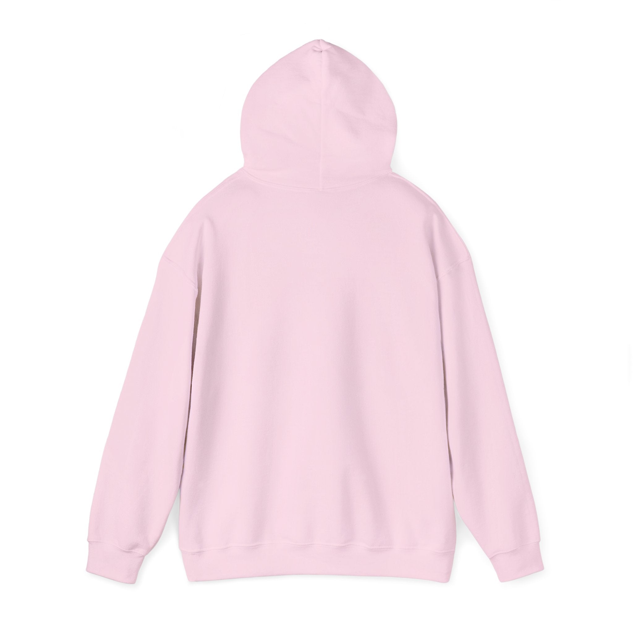 Cat & Dog Debate Hoodie — 'I cleaned the house' Funny Pet Conversation Pullover