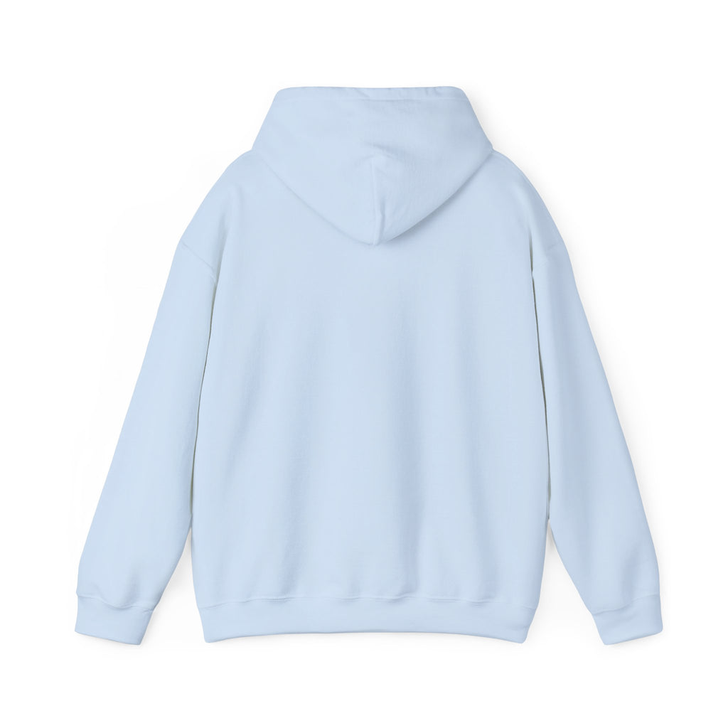 Cat & Dog Debate Hoodie — 'I cleaned the house' Funny Pet Conversation Pullover