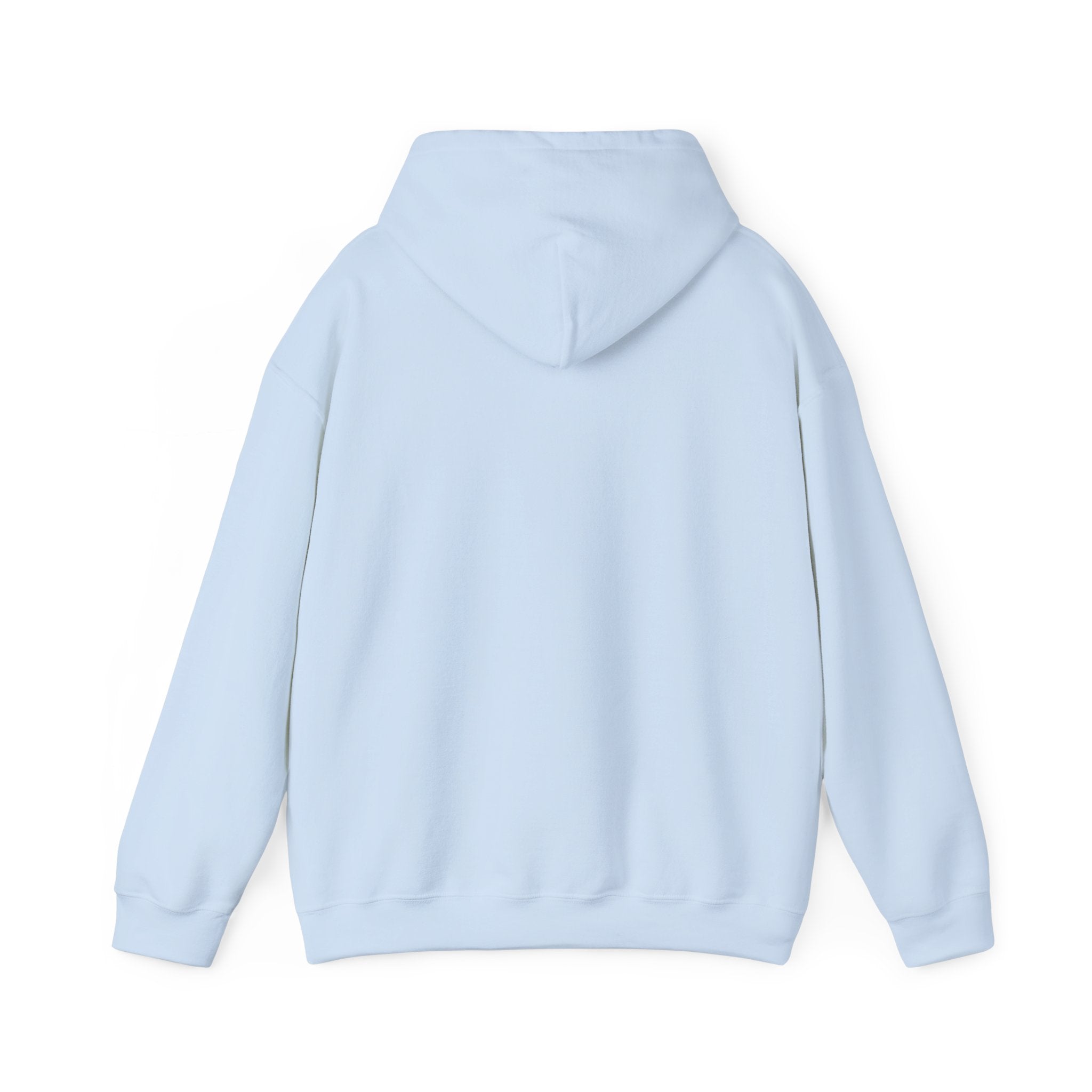Cat & Dog Debate Hoodie — 'I cleaned the house' Funny Pet Conversation Pullover