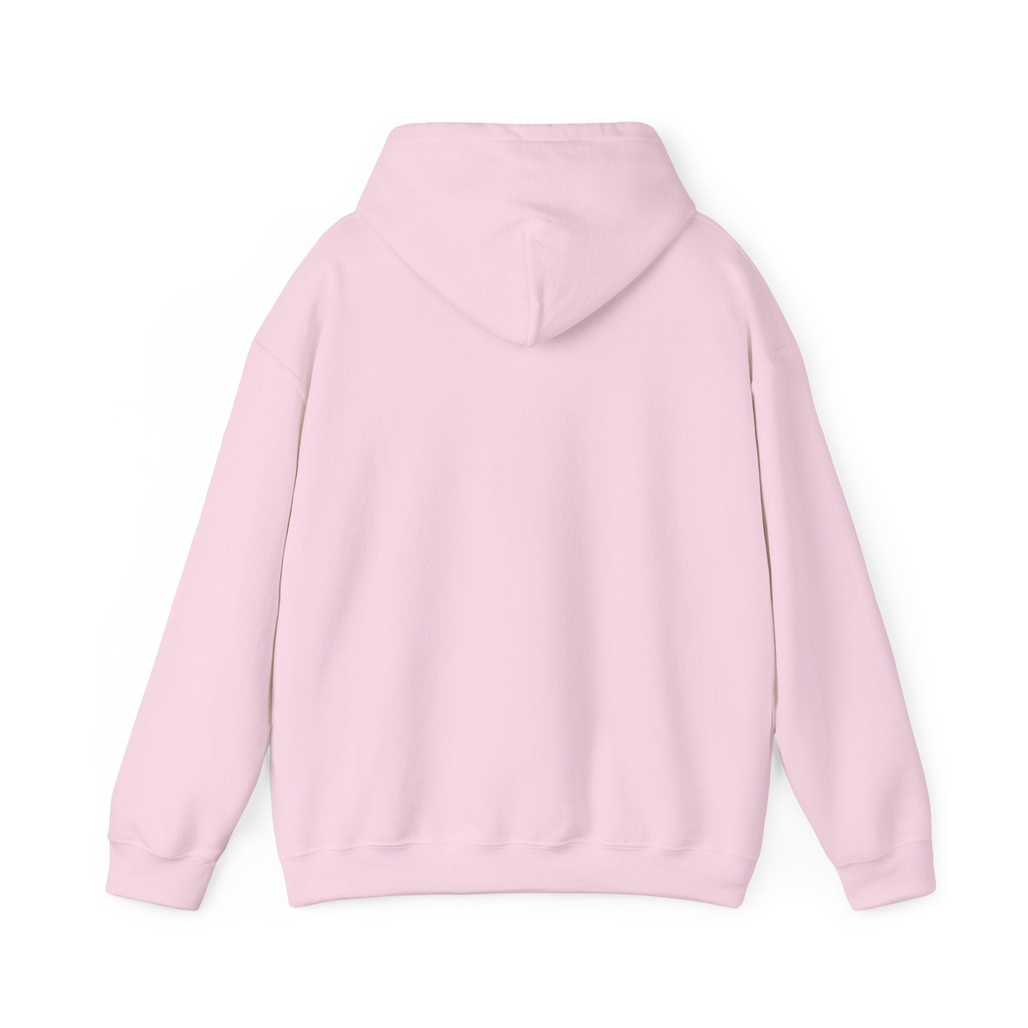 Cat & Dog Debate Hoodie — 'I cleaned the house' Funny Pet Conversation Pullover