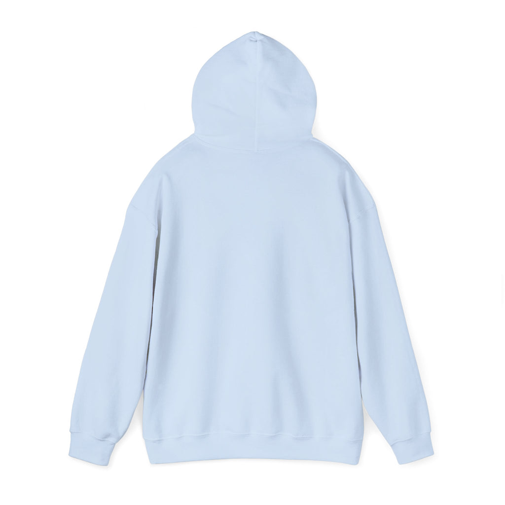 Cat & Dog Debate Hoodie — 'I cleaned the house' Funny Pet Conversation Pullover