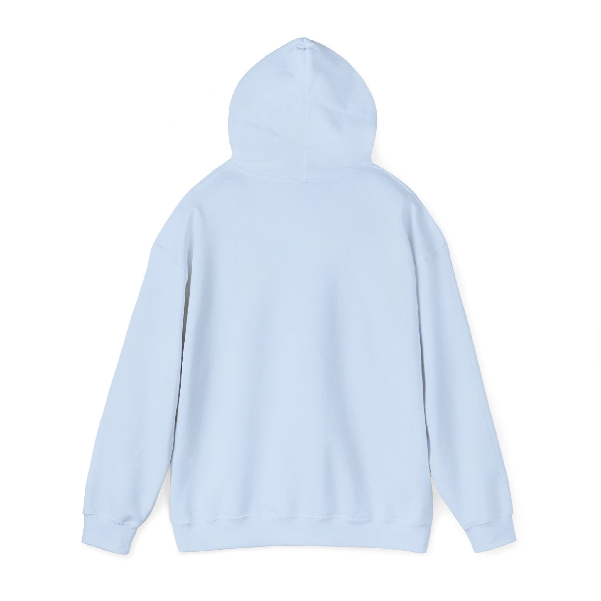Cat & Dog Debate Hoodie — 'I cleaned the house' Funny Pet Conversation Pullover